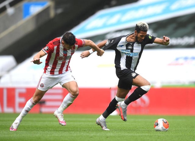 Match report: Newcastle United 3 Sheffield United 0 – Bruce’s boys batter blunt Blades